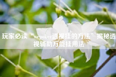 玩家必读“wepoker透视挂的方法”揭秘透视辅助万能挂用法