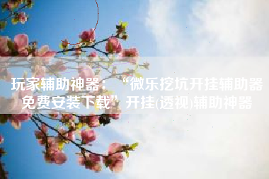 玩家辅助神器：“微乐挖坑开挂辅助器免费安装下载	”开挂(透视)辅助神器