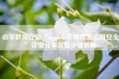 必学教你安装“Aapoker作弊挂怎么用安全”详细分享装挂步骤教程