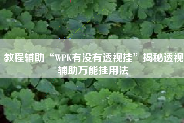 教程辅助“WPK有没有透视挂”揭秘透视辅助万能挂用法