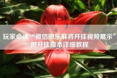 玩家必读“微信微乐麻将开挂视频展示”附开挂脚本详细教程