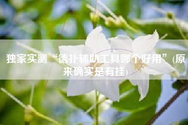 独家实测“德扑辅助工具哪个好用	”(原来确实是有挂)