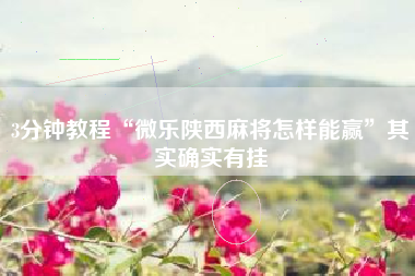 3分钟教程“微乐陕西麻将怎样能赢”其实确实有挂