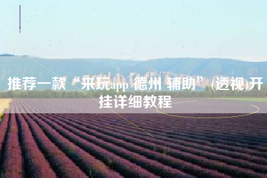 推荐一款“来玩app 德州 辅助”(透视)开挂详细教程