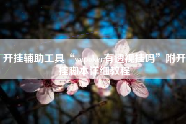 开挂辅助工具“wepoker有透视挂吗”附开挂脚本详细教程