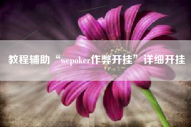 教程辅助“wepoker作弊开挂”详细开挂