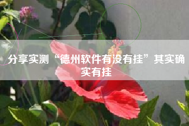 分享实测“德州软件有没有挂”其实确实有挂