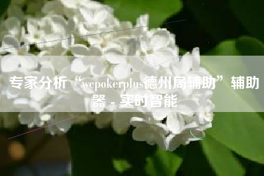 专家分析“wepokerplus德州局辅助”辅助器 - 实时智能