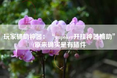 玩家辅助神器：“uupoker开挂神器辅助	”(原来确实是有插件