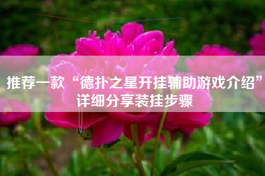 推荐一款“德扑之星开挂辅助游戏介绍”详细分享装挂步骤
