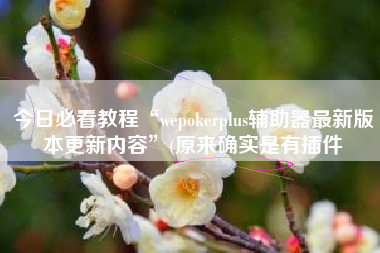 今日必看教程“wepokerplus辅助器最新版本更新内容”(原来确实是有插件