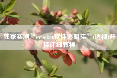 独家实测“wepoker软件透明挂”(透视)开挂详细教程