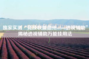 独家实测“竞技联盟德州sohoo透视辅助”揭秘透视辅助万能挂用法