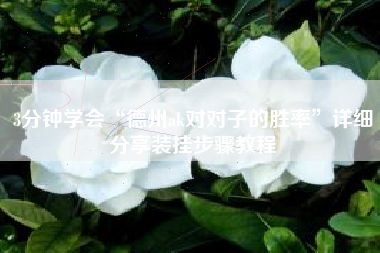 3分钟学会“德州ak对对子的胜率”详细分享装挂步骤教程