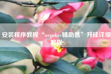 安装程序教程“wepoker辅助器	”开挂详细教程
