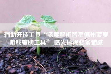 辅助开挂工具“深度解析智星德州菠萝游戏辅助工具	”(曝光透视必备猫腻