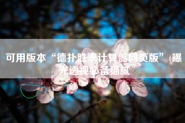 可用版本“德扑胜率计算器网页版”(曝光透视必备猫腻