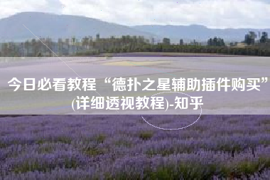 今日必看教程“德扑之星辅助插件购买”(详细透视教程)-知乎