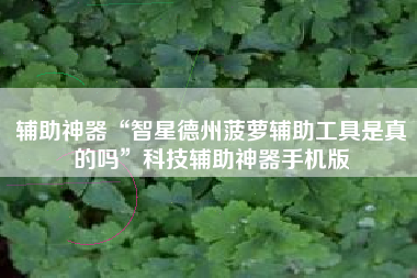 辅助神器“智星德州菠萝辅助工具是真的吗	”科技辅助神器手机版