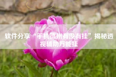 软件分享“手机德州有没有挂”揭秘透视辅助万能挂