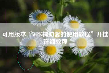 可用版本“WPK辅助器的使用教程	”开挂详细教程
