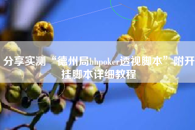 分享实测“德州局hhpoker透视脚本”附开挂脚本详细教程