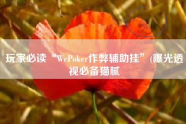 玩家必读“WePoker作弊辅助挂”(曝光透视必备猫腻
