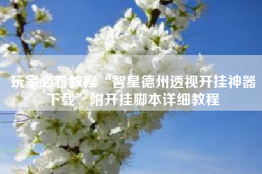 玩家必看教程“智星德州透视开挂神器下载”附开挂脚本详细教程