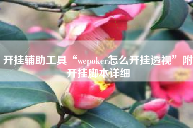 开挂辅助工具“wepoker怎么开挂透视”附开挂脚本详细