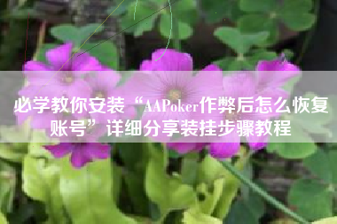 必学教你安装“AAPoker作弊后怎么恢复账号”详细分享装挂步骤教程