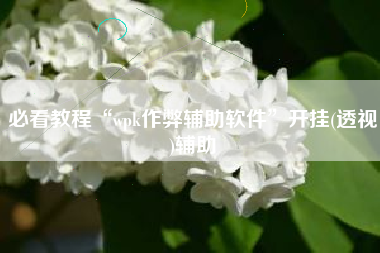 必看教程“wpk作弊辅助软件	”开挂(透视)辅助