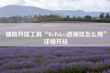 辅助开挂工具“WePoker透视挂怎么用”详细开挂