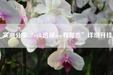 实测分享“wpk透视app有哪些”详细开挂