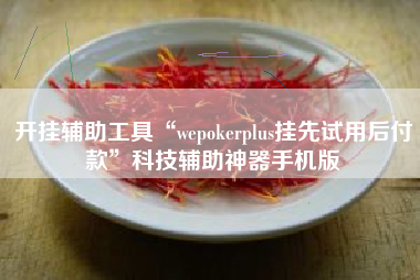 开挂辅助工具“wepokerplus挂先试用后付款”科技辅助神器手机版