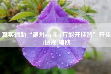 真实辅助“德州wepoker万能开挂器”开挂(透视)辅助