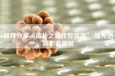 软件分享“德扑之星作弊辅助”(曝光透视必备猫腻