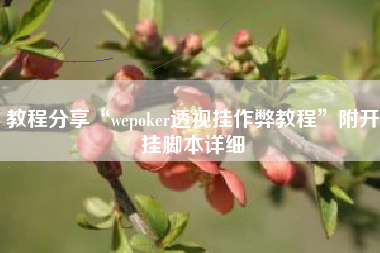 教程分享“wepoker透视挂作弊教程”附开挂脚本详细