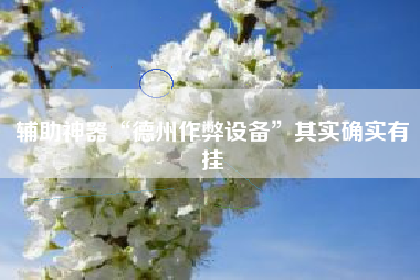 辅助神器“德州作弊设备”其实确实有挂