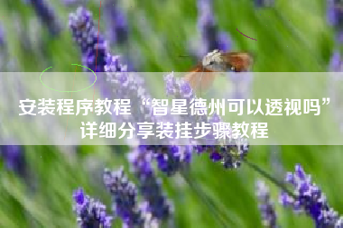 安装程序教程“智星德州可以透视吗”详细分享装挂步骤教程