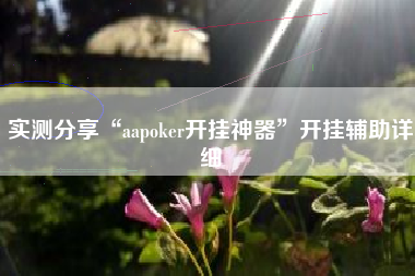 实测分享“aapoker开挂神器	”开挂辅助详细