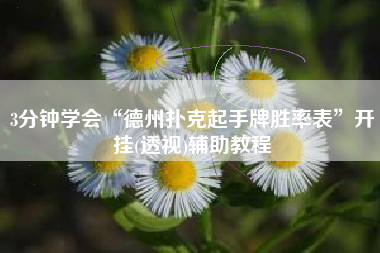 3分钟学会“德州扑克起手牌胜率表”开挂(透视)辅助教程