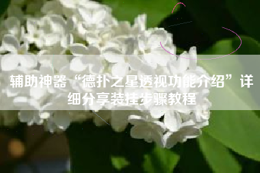 辅助神器“德扑之星透视功能介绍”详细分享装挂步骤教程