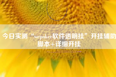 今日实测“wepoker软件透明挂”开挂辅助脚本+详细开挂