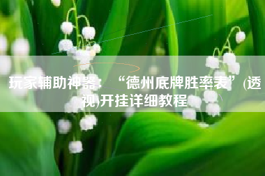 玩家辅助神器：“德州底牌胜率表”(透视)开挂详细教程