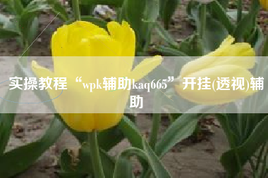 实操教程“wpk辅助kaq665”开挂(透视)辅助