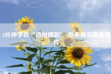 3分钟学会“德州辅助”(原来确实是有插件