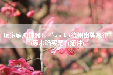 玩家辅助神器：“wepoker德州出牌规律	”(原来确实是有插件)