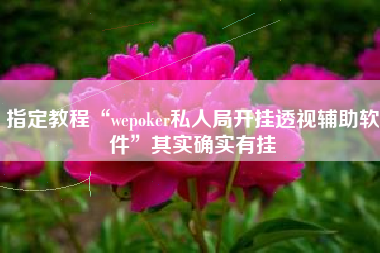 指定教程“wepoker私人局开挂透视辅助软件	”其实确实有挂