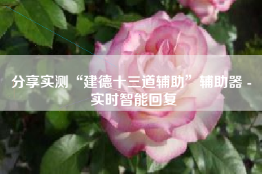 分享实测“建德十三道辅助”辅助器 - 实时智能回复