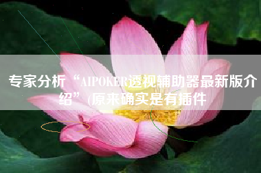 专家分析“AIPOKER透视辅助器最新版介绍	”(原来确实是有插件